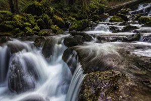 Erosion Gallery: Oneanta Creek. Creator: Joshua Johnston