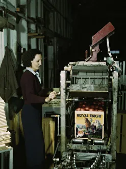 Citrus Fruit Industry Gallery: Operating a machine for putting tops on crates, co-op orange packing plant, Redlands, Calif. 1943