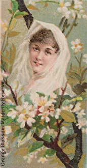 James Buchanan Duke Collection: Orange Blossom: Maidenly Reserve, from the series Floral Beauties