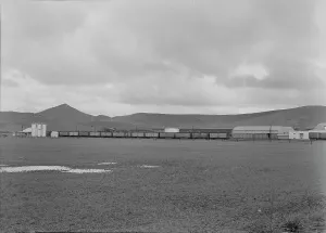 Freight Wagon Prints: Orange packing shed, Strathmore, California, 1939. Creator: Dorothea Lange