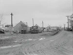 Ditch Prints: Orange picker's camp, Strathmore, California, 1939. Creator: Dorothea Lange