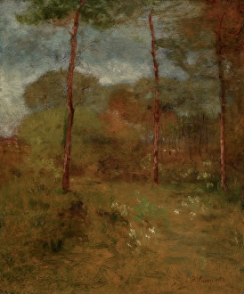 Inness George Prints: Orange Road, Tarpon Springs, about 1893. Creator: George Inness