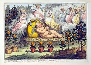 The Orangerie - or - The Dutch Cupid reposing after the fatigues of Planting, 1796
