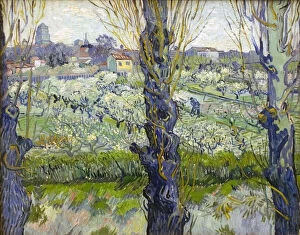 Gogh Collection: Orchard in Blossom with View of Arles, 1889. Artist: Vincent van Gogh
