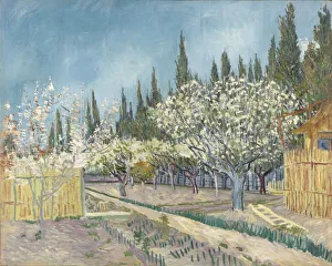Kröller Müller Museum Prints: Orchard bordered by cypresses, 1888