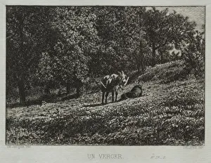 An Orchard. Creator: Charles-Emile Jacque (French, 1813-1894)