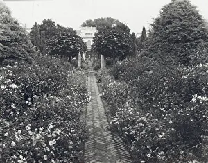 Lantern Slides 1910 1920 Gmgpc Prints: The Orchard, James Lawrence Breese house