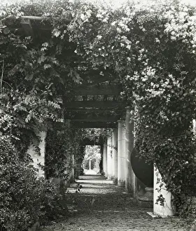 Lantern Slides 1910 1920 Gmgpc Prints: The Orchard, James Lawrence Breese house
