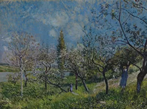 Sun Light Gallery: Orchard in Spring, By, 1881. Artist: Sisley, Alfred (1839-1899)