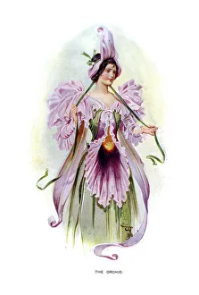 C Wilhelm Prints: The Orchid, 1899
