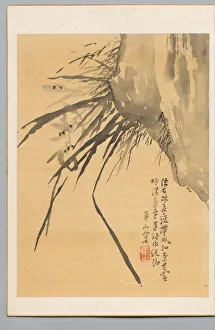 Orchid, 19th century. Creator: Watanabe Kazan (Japanese, 1793-1841)