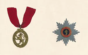 Fidelity Prints: The Order of the Lion D Or, c19th century