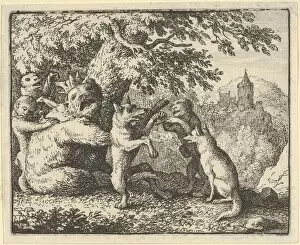 Allart Van Gallery: On Order of the Lion, a Piece of Skin is Taken from the Bear, A Piece of the Front Paws