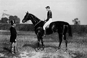 Horses Gallery: Ormonde, 1883-1904, (1911)