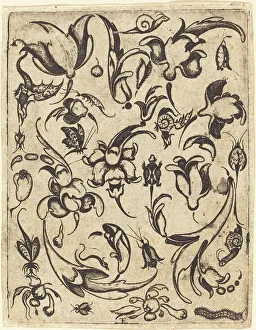 Snail Prints: Ornament. Creator: Master T.F
