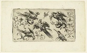 Phoenix Prints: Ornament Panels with Birds: Plate 7, 1617. Creator: Adrian Muntink