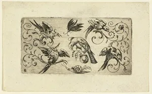 Phoenix Prints: Ornament Panels with Birds: Plate 8, 1617. Creator: Adrian Muntink