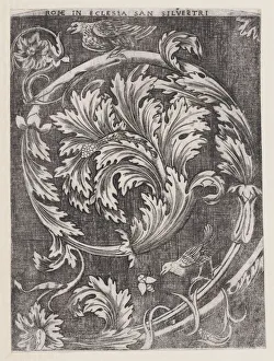 Agostino De Musi Prints: Ornamental Panel, ca. 1514-1600. ca. 1514-1600. Creator: Anon
