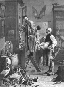 Henry Stacey Marks Prints: The Ornithologist, mid-late 19th century