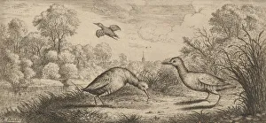 Ortygometra, Ralle (The Rail): Livre d Oyseaux (Book of Birds), 1655-1660