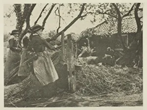 Peeling Gallery: Osier-Peeling (Norfolk), c. 1883 / 87, printed 1888. Creator: Peter Henry Emerson