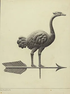 Ostrich Prints: Ostrich Weather Vane, c. 1937. Creator: Herman Bader