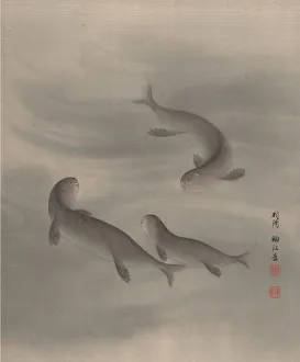 Album Lea Prints: Otters Swimming, ca. 1890-92. Creator: Seki Shuko