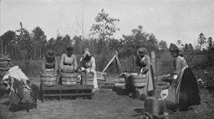 Booker T Prints: An out-of-door class in laundry work, 1904. Creator: Frances Benjamin Johnston