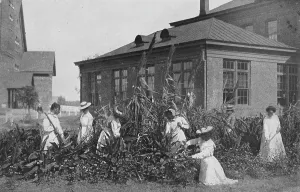 Outdoor work for girls, 1904. Creator: Frances Benjamin Johnston