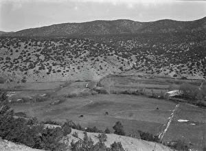 Outlying fields of Mexican village in the hills of the Tewa Basin, New Mexico, 1935. Creator: Dorothea Lange