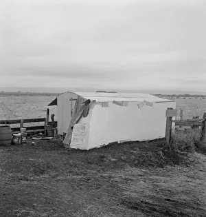 Bucket Collection: Outside of potato pickers camp, across from the... Tulelake, Siskiyou County, California, 1939