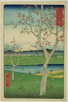 Bushu Province Prints: The Outskirts of Koshigaya in Musashi Province (Musashi Koshigaya zai)
