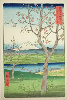 Bushu Province Prints: The Outskirts of Koshigaya in Musashi Province (Musashi Koshigaya zai)