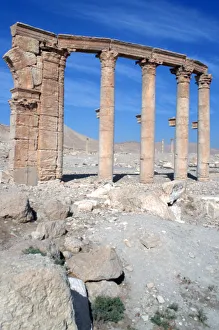 Palmyra Prints: The Oval Piazza, Palmyra, Syria