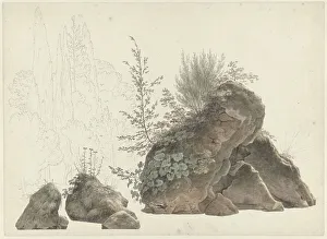 Cypress Prints: Overgrown Rocks, c.1809-c.1812. Creator: Josephus Augustus Knip
