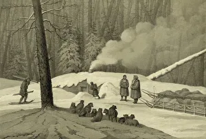 Sled Dog Prints: Overnight in the Forest (in the Northern Forests)