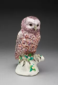 Perched Gallery: Owl, Bow, c. 1760. Creator: Bow Porcelain Factory