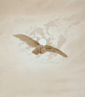 Caspar David Gallery: Owl Flying against a Moonlit Sky, 1836-1837. Artist: Caspar David Friedrich