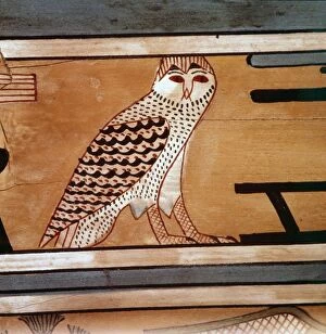Al Minya Gallery: Owl, Hieroglyphic inscription on inner wall of coffin of steward, Seni, El Bersha, Egypt, c2000 BC