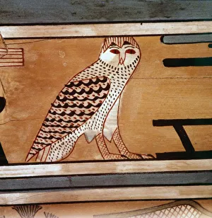 Al Minya Gallery: Owl, Hieroglyphic inscription on inner wall of coffin of steward, Seni, El Bersha, Egypt, c2000 BC