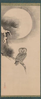 Scroll Collection: Owl on a Pine Branch, early 17th century. Creator: Soga Nichokuan