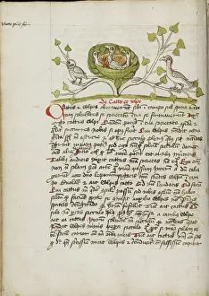 An Owlet and a Goshawk in Some Branches; Fables, third quarter of 15th century. Creator: Unknown