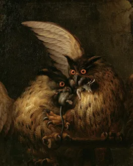 Claw Prints: Two Owls Fighting over a Rat, late 17th-early 18th century. Creator: Hans Georg Muller