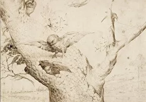 Bosch Gallery: The Owls Nest, ca. 1505-1510