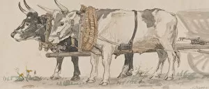 Dane Gallery: Two Oxen Pulling a Cart, 1874. Creator: Peter Christian Thamsen Skovgaard