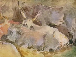 Oxen at Siena, c1910, (1936). Creator: John Singer Sargent