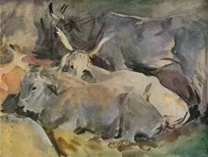 Horned Gallery: Oxen at Siena, c1910. Artist: John Singer Sargent