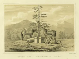 Provisions Prints: Pack Horses, 1856. Creator: Ivan Dem'ianovich Bulychev