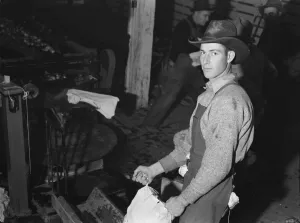 In packing shed, grading and sacking potat... Tulelake, Siskiyou County, California, 1939 Creator: Dorothea Lange