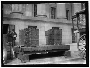 Storage Prints: Packing Trunks, between 1909 and 1914